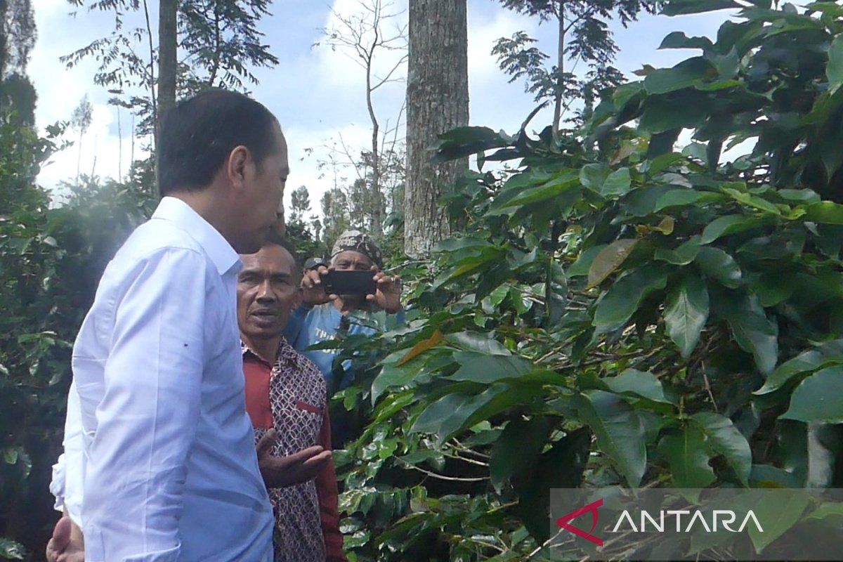 Jokowi bertemu petani kopi di Temanggung, ini pesannya