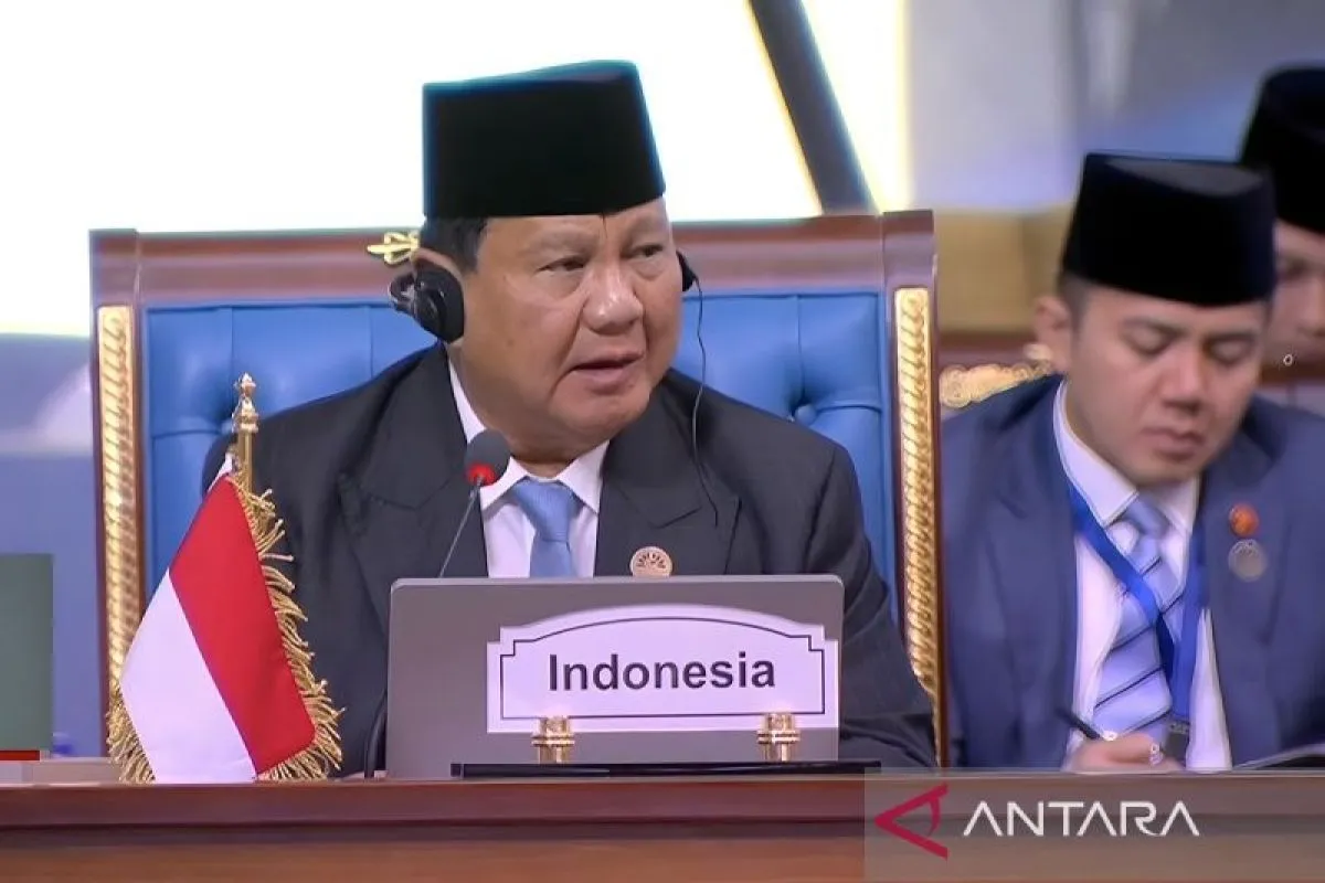 Prabowo Erdogan walk out - Gallery image 2