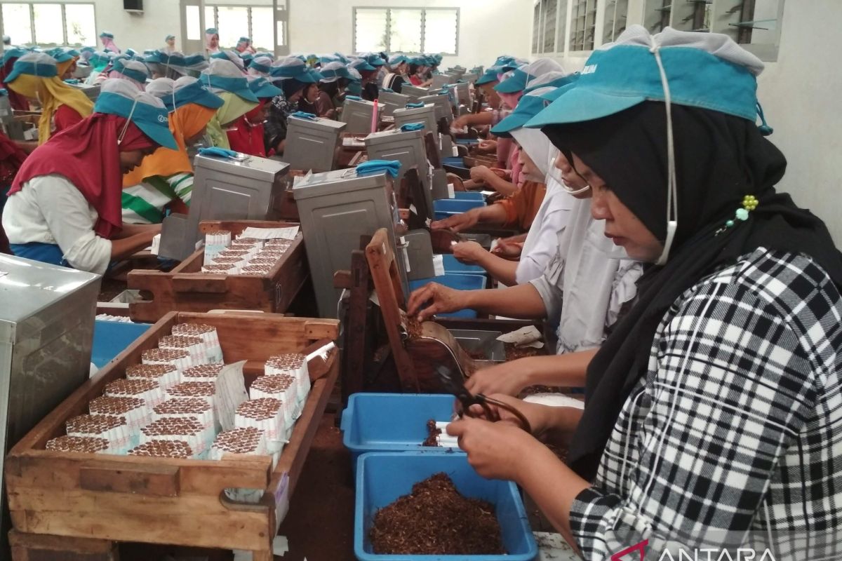 Jumlah pabrik rokok di Keresidenan Pati bertambah