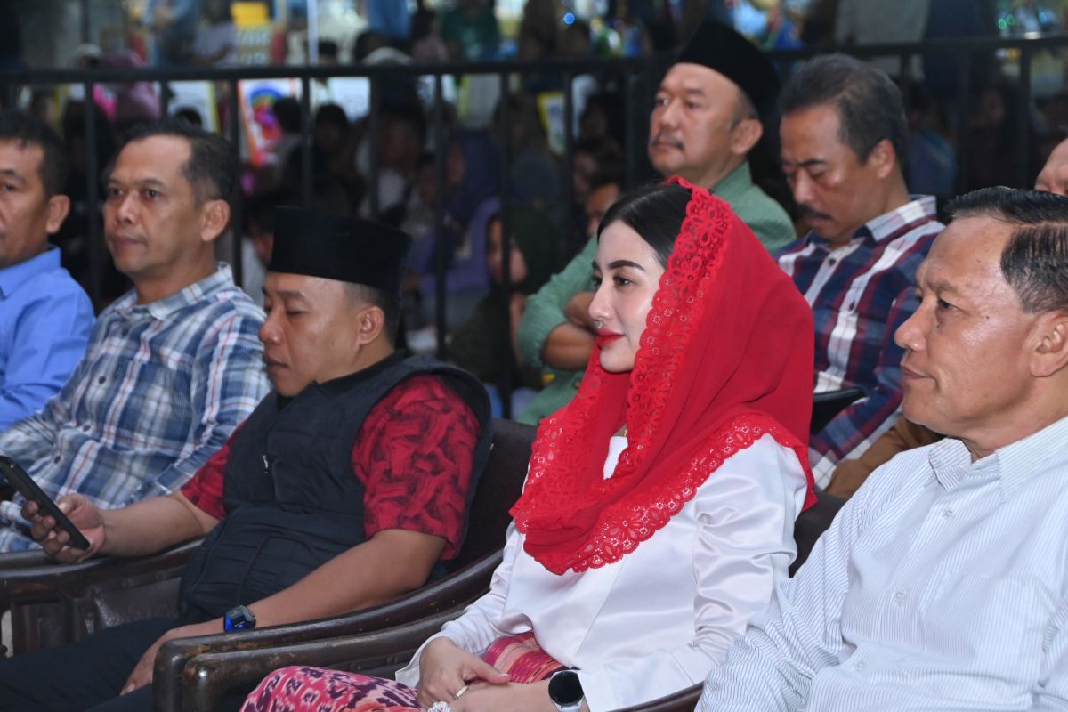 Anggota DPR: Peran pemerintah penting guna stimulus pertumbuhan UMKM