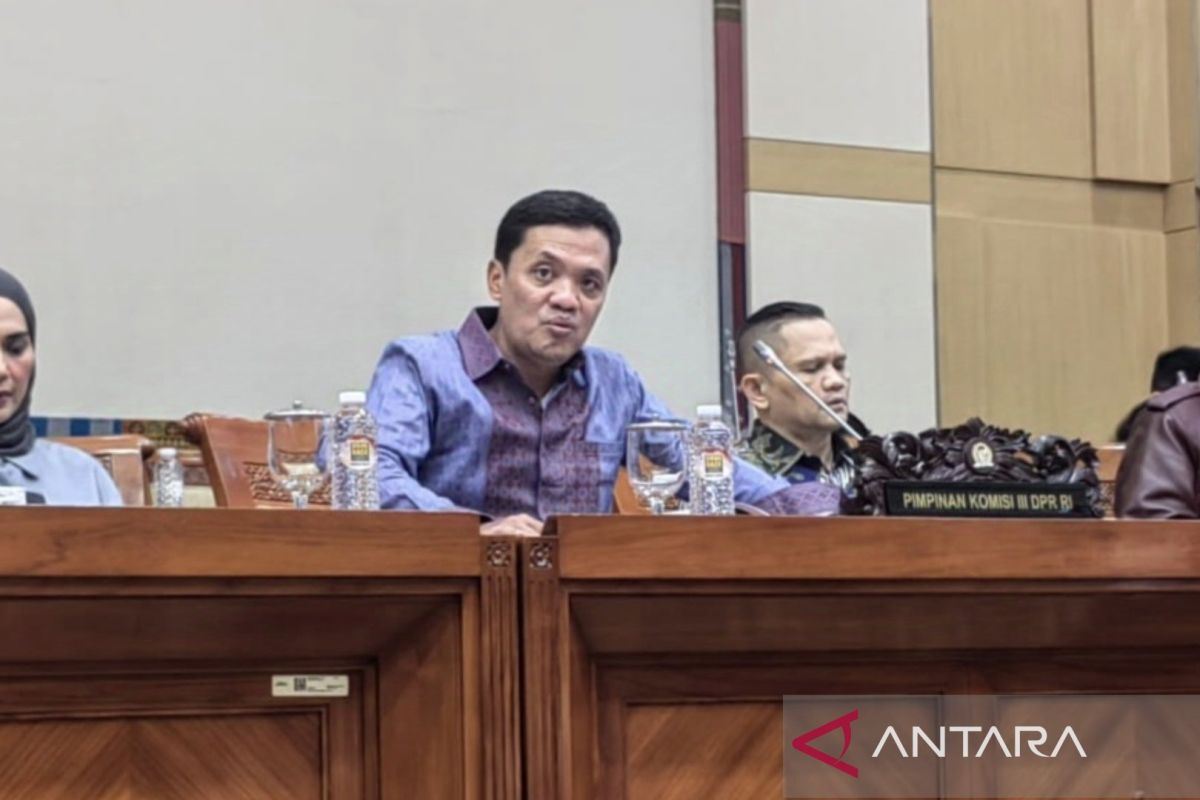 Gerindra: Prabowo tak mungkin abaikan aturan soal beri maaf koruptor