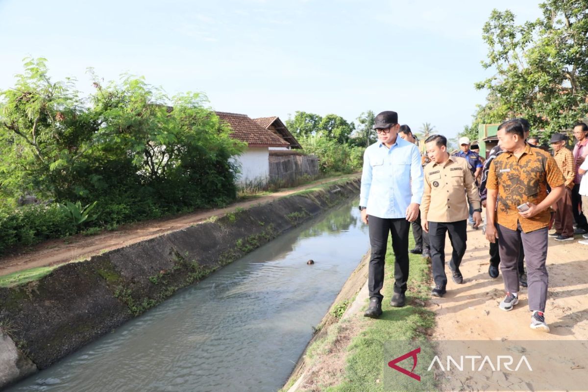 Wamendagri: Irigasi penting untuk penuhi kebutuhan pangan nasional