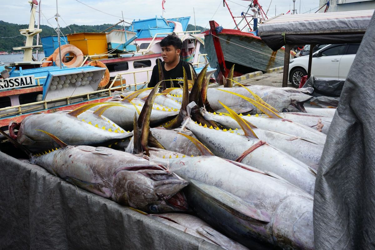 Sistem Pascaproduksi PIT Tingkatkan PNBP SDA Perikanan 30% di 2024