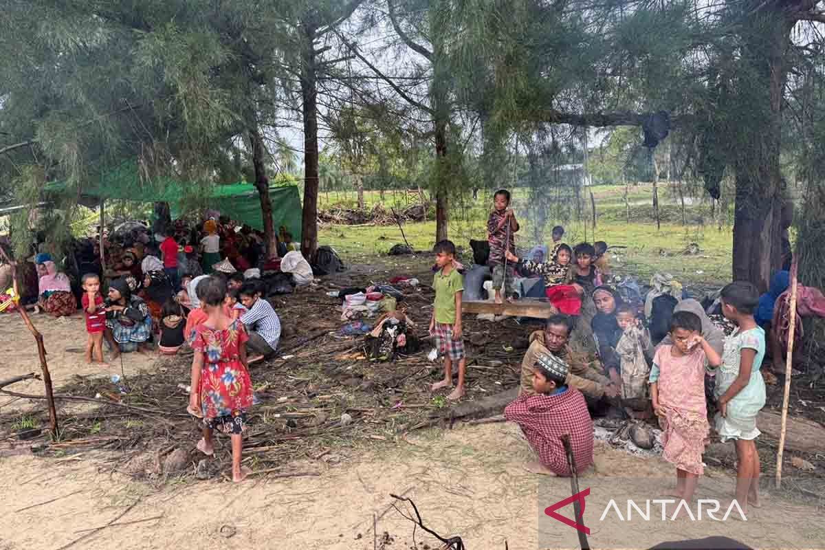 Sebanyak 264 imigran etnis Rohingya mendarat di Aceh Timur 