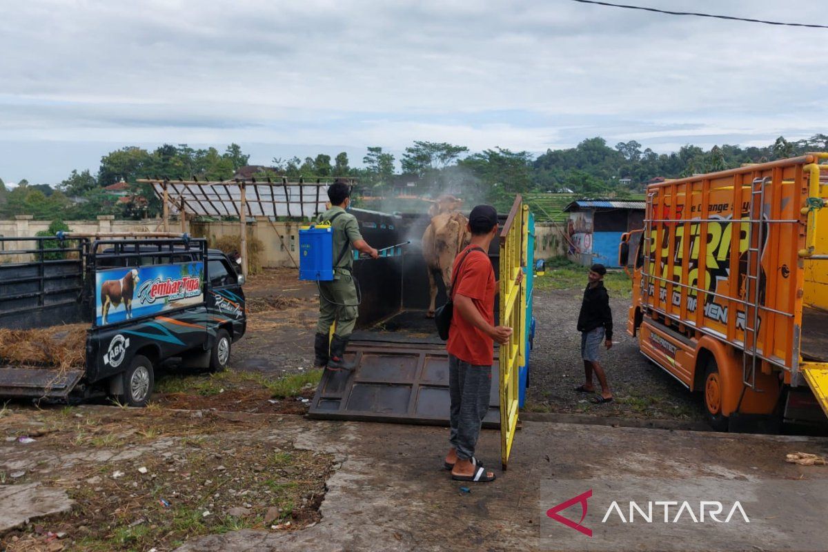 Karanganyar minimalkan ancaman PMK melalui penyemprotan disinfektan