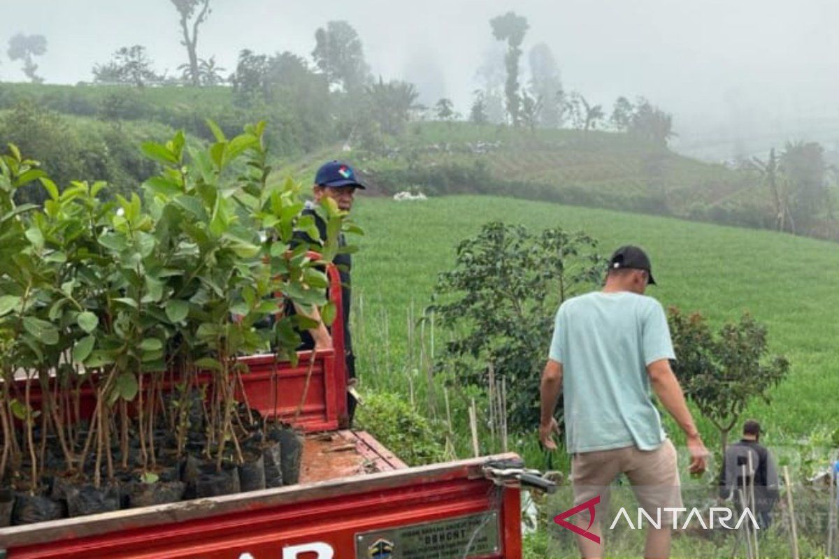 Temanggung gandeng para pihak dalam Gerakan Sejuta Pohon