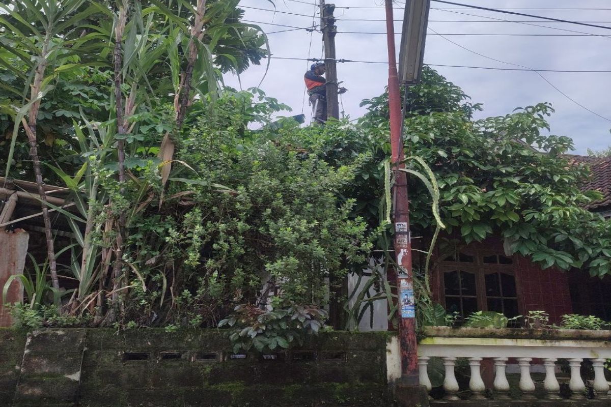 PLN Icon Plus lakukan perbaikan andongankabel fiber optik