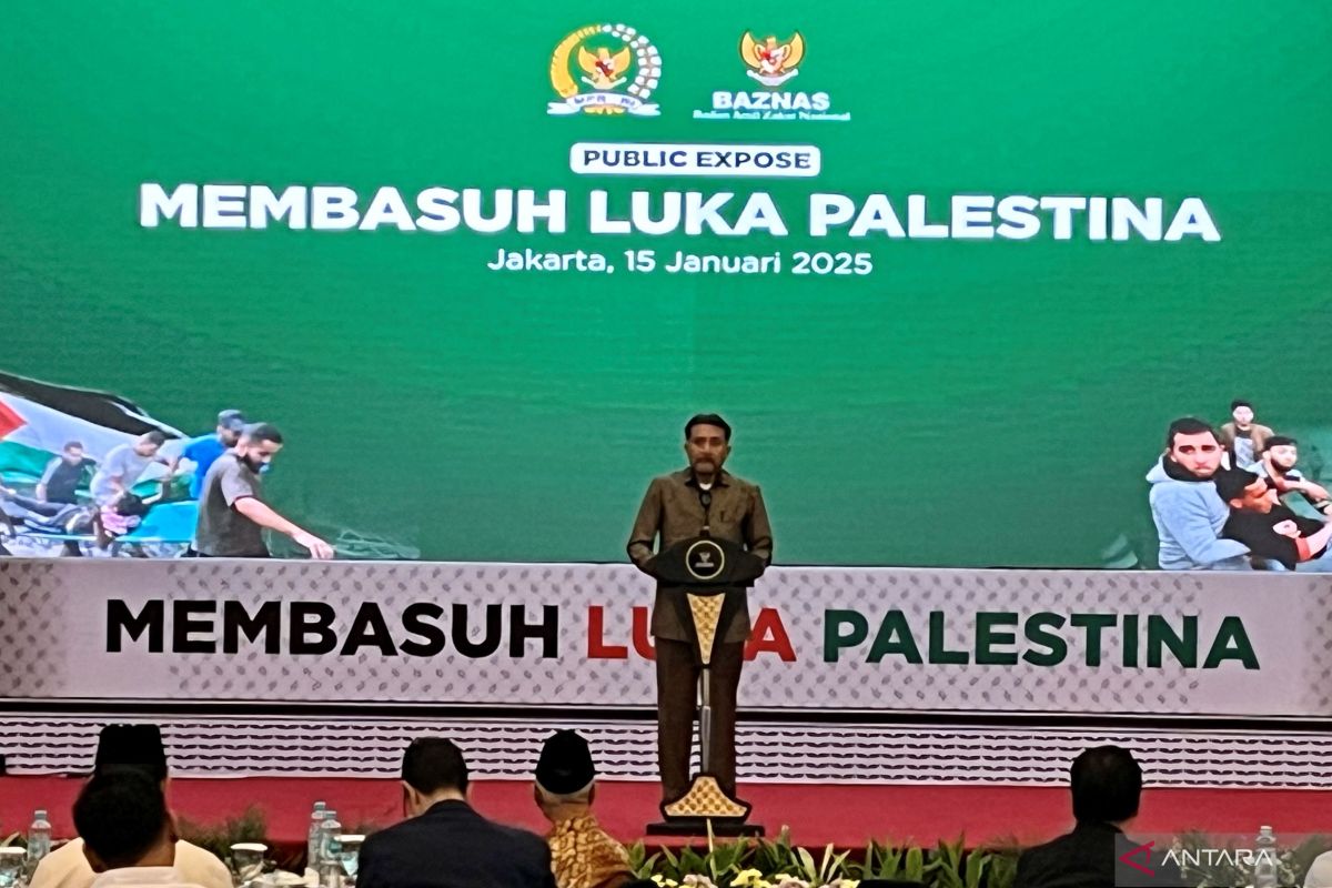 Dubes RI di Arab nyatakan terus dukung penyaluran bantuan ke Palestina