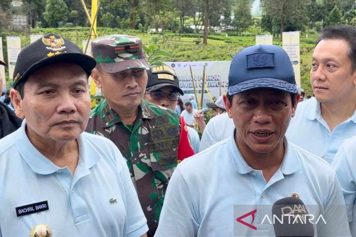 Menteri LH ajak setop investasi vila di Puncak demi lingkungan asri