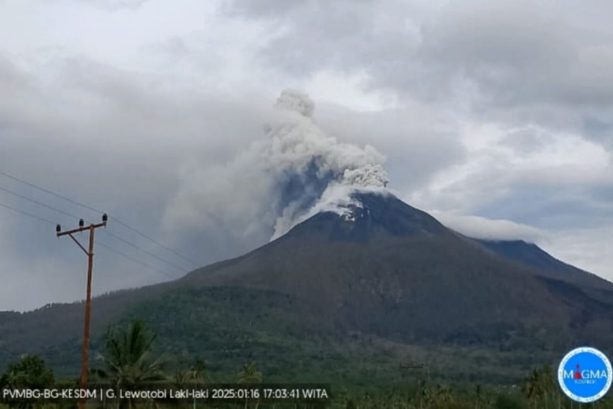 Gunung Lewotobi Laki-laki erupsi empat kali pada Kamis