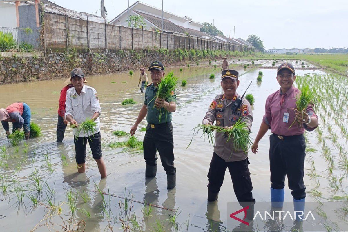 Pemkab Batang  optimalkan lahan produksi dukung Astacita Presiden