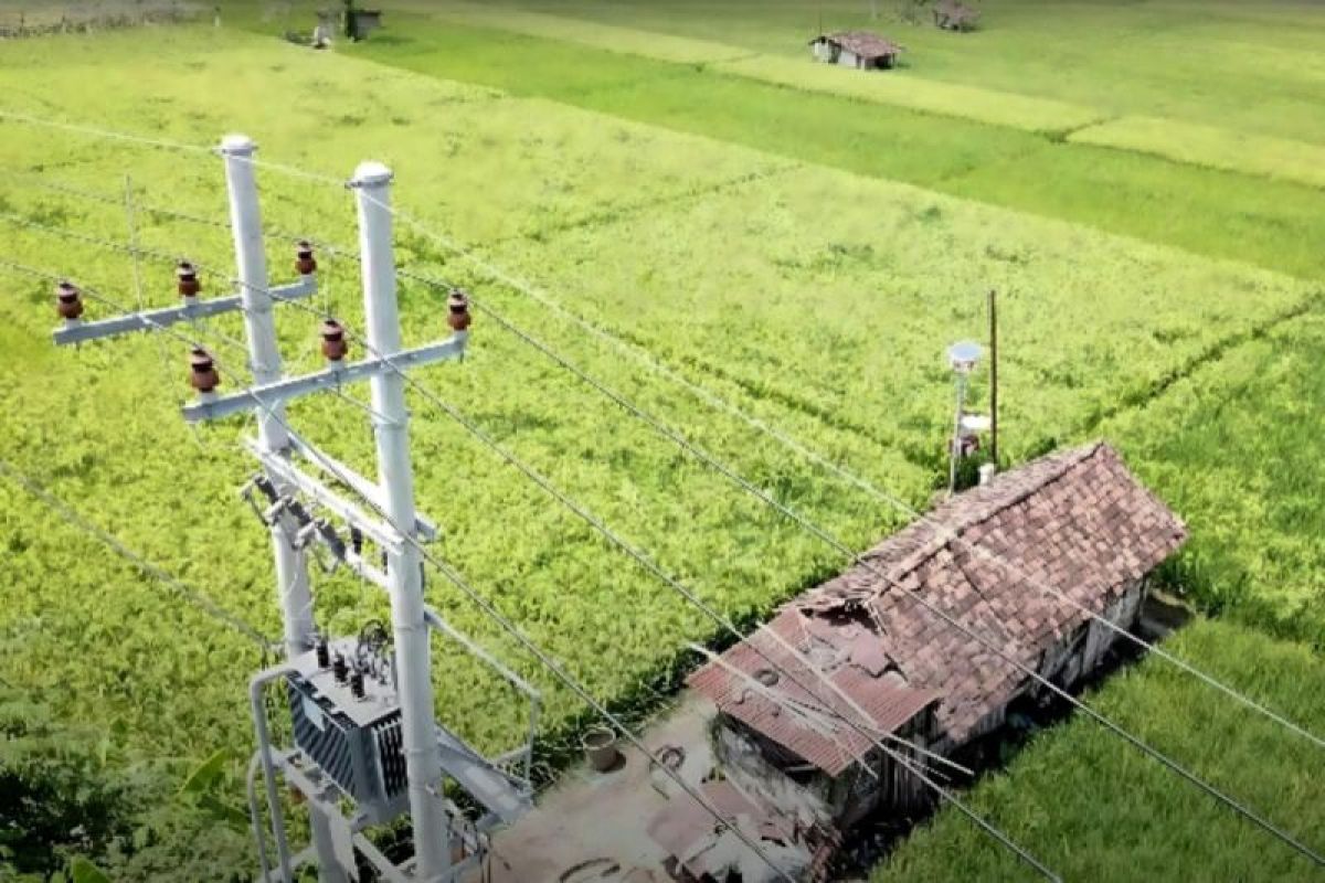 "Electrifying Agriculture" PLN raih 53.539 pelanggan baru pada 2024