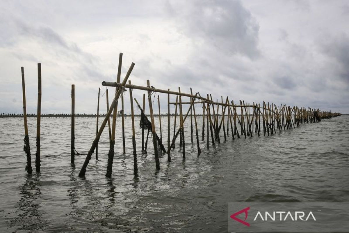 Walhi desak pemerintah segera bongkar pemagaran laut di Tangerang