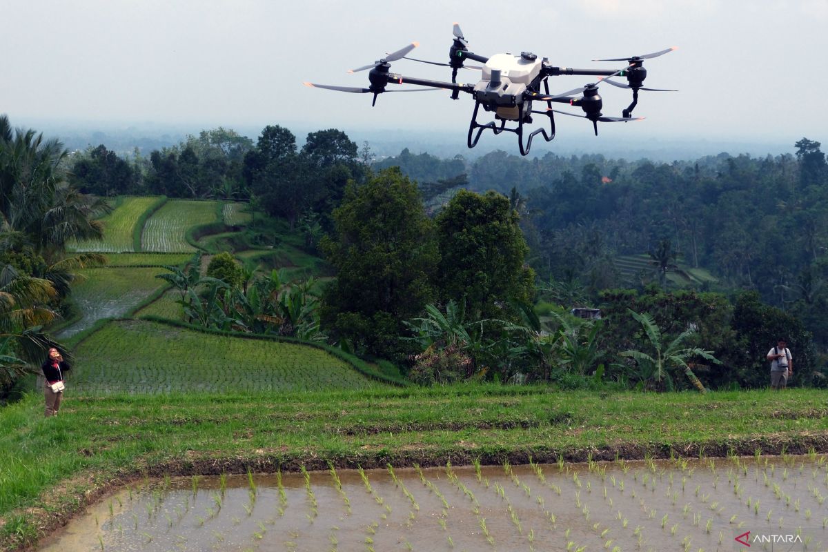 Presiden Senat Kamboja sebut  serangan drone ke mansionnya digagalkan