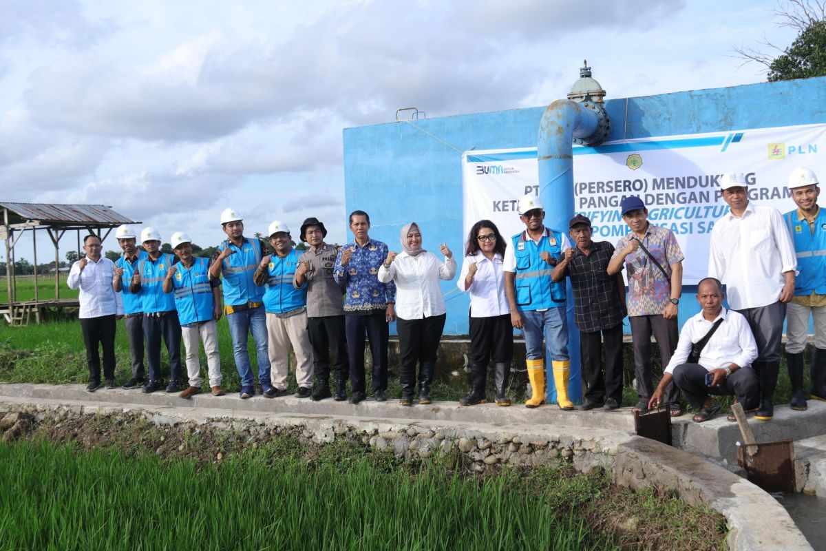 Petani Sulsel untung berkat program listrik PLN masuk sawah