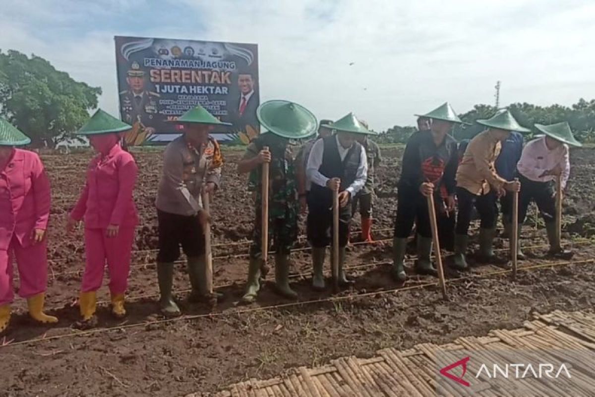 Pemkot Madiun lakukan penanaman jagung serentak