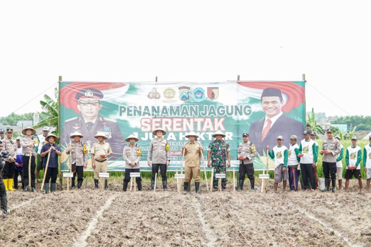 Pemkab Lamongan targetkan 56 hektar lahan tanam jagung dukung astacita