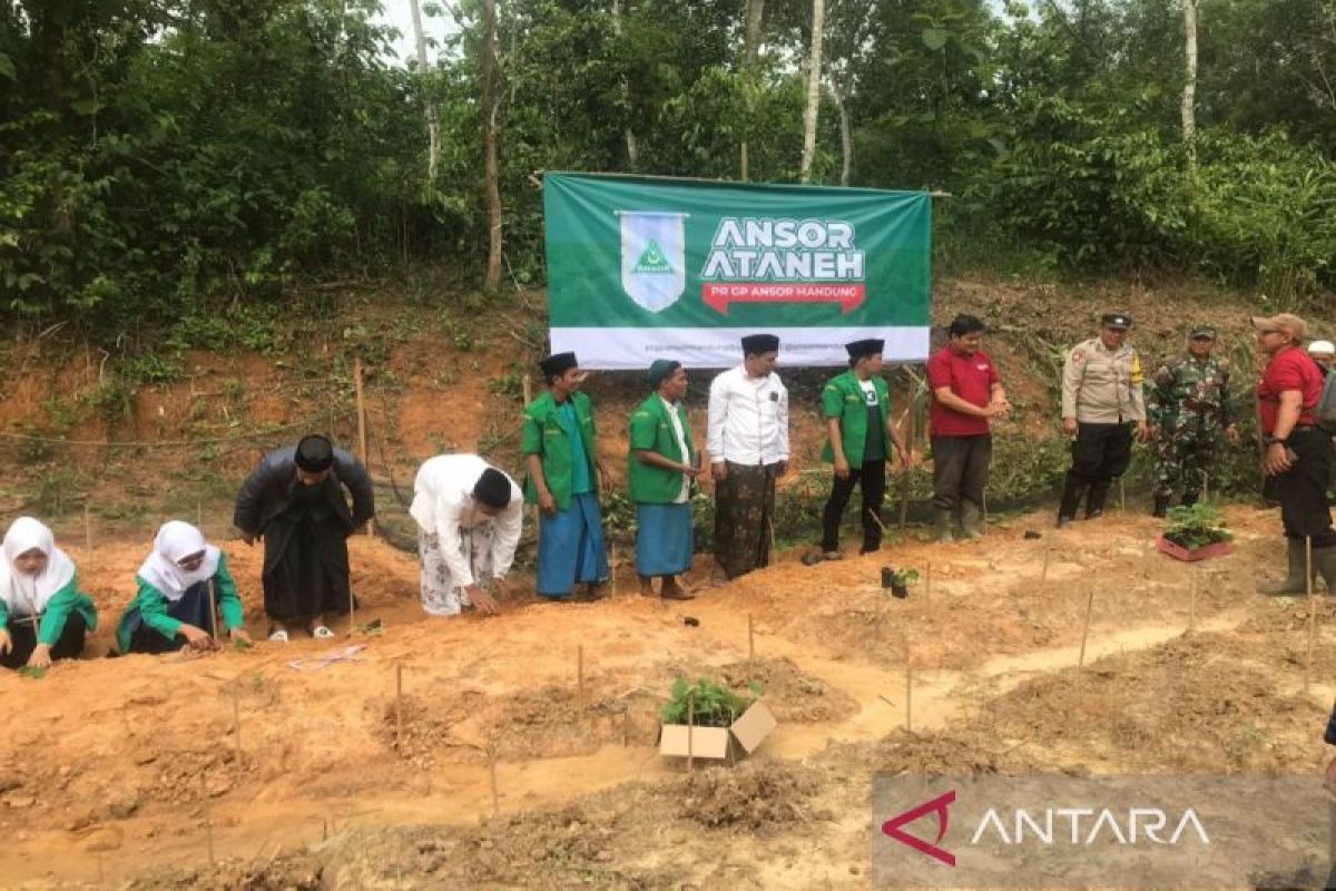 GP Ansor dukung swasembada pangan melalui Program Ansor Ataneh