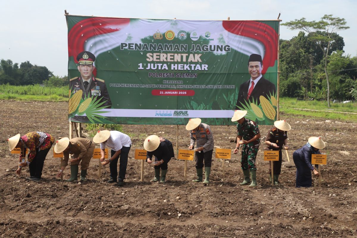 Forkopimda Sleman tanam jagung dukung swasembada pangan nasional