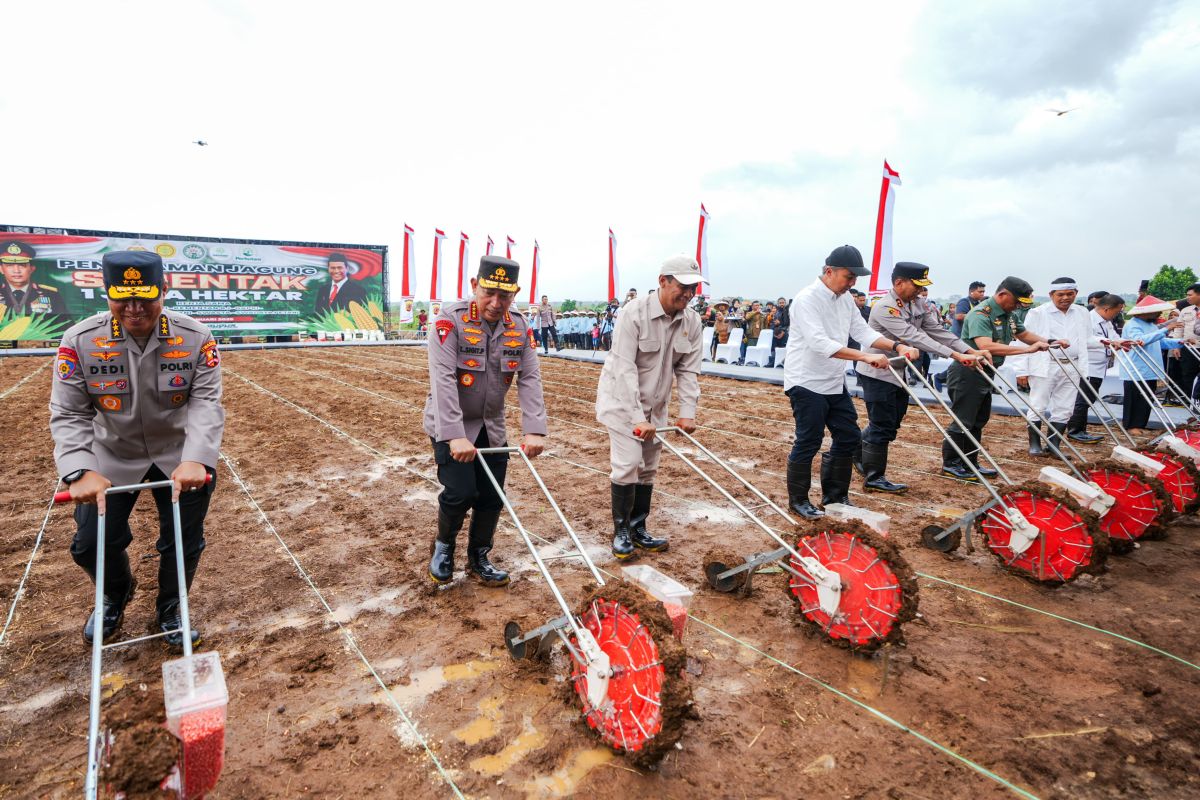 Polri-Kementan tanam jagung guna wujudkan swasembada pangan 2025