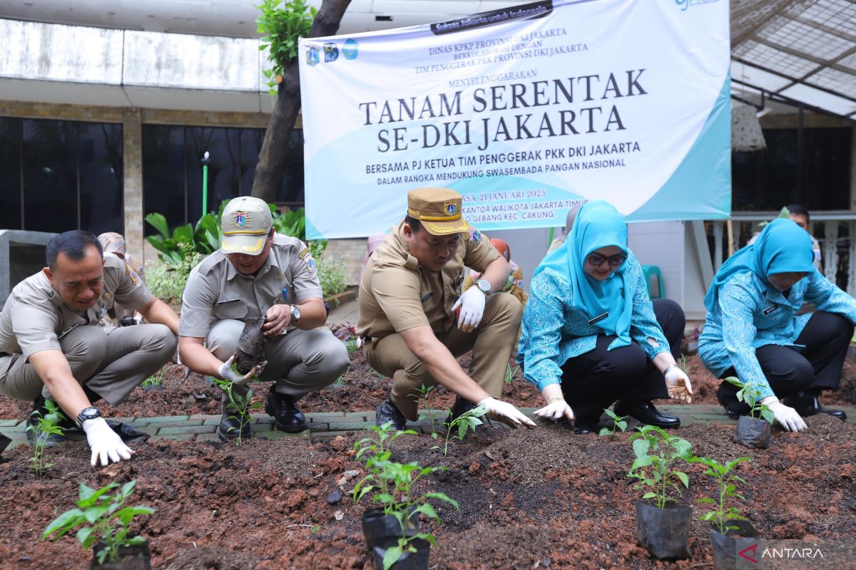 Jaktim kembangkan pertanian perkotaan di 147 lokasi