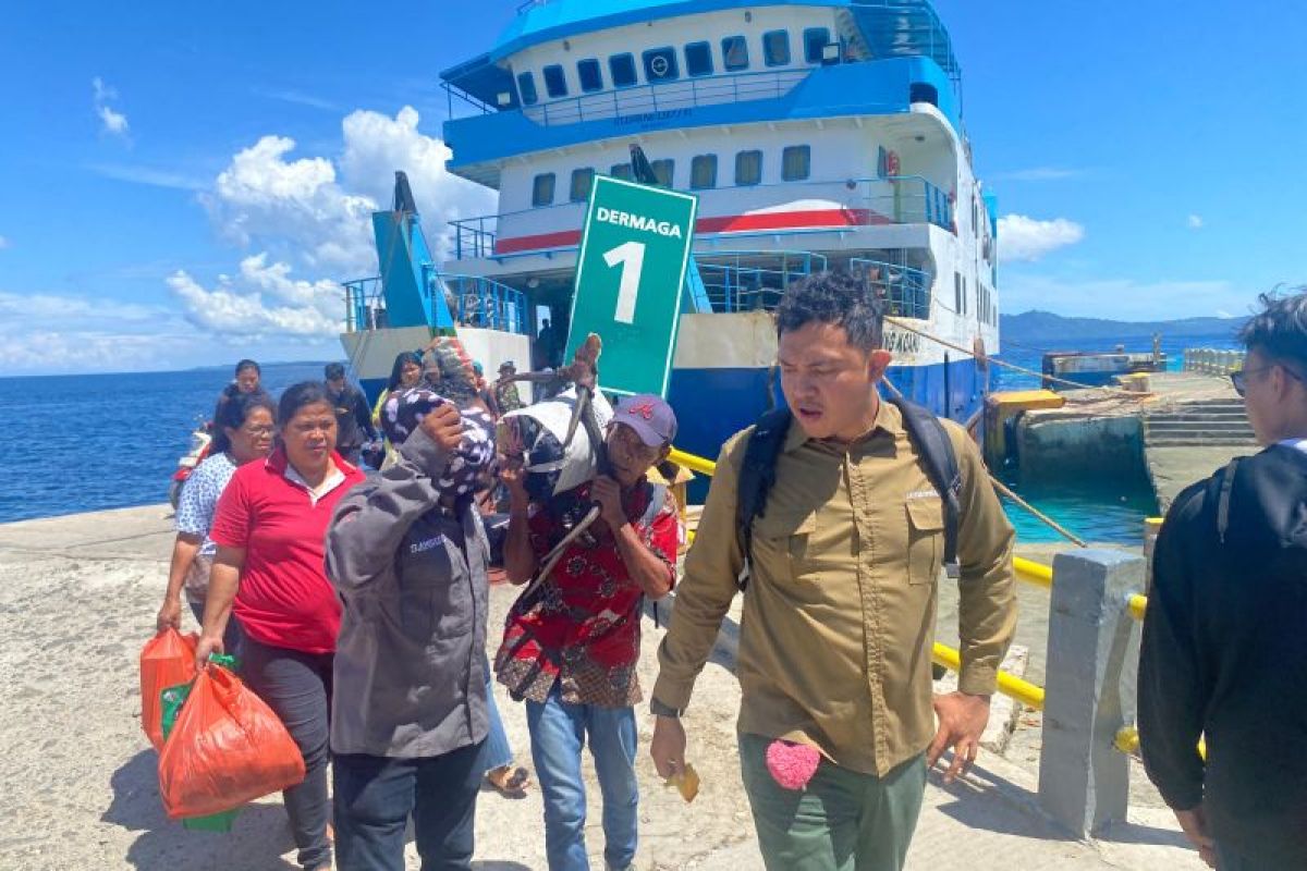 BKSDA Maluku sita tanduk rusa di Pelabuhan Hunimua