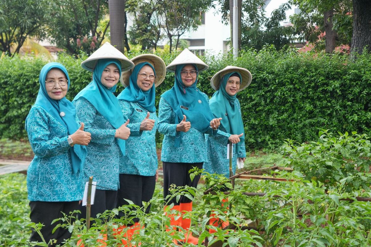 Jakut gelar penanaman tanaman pangan di 93 lokasi