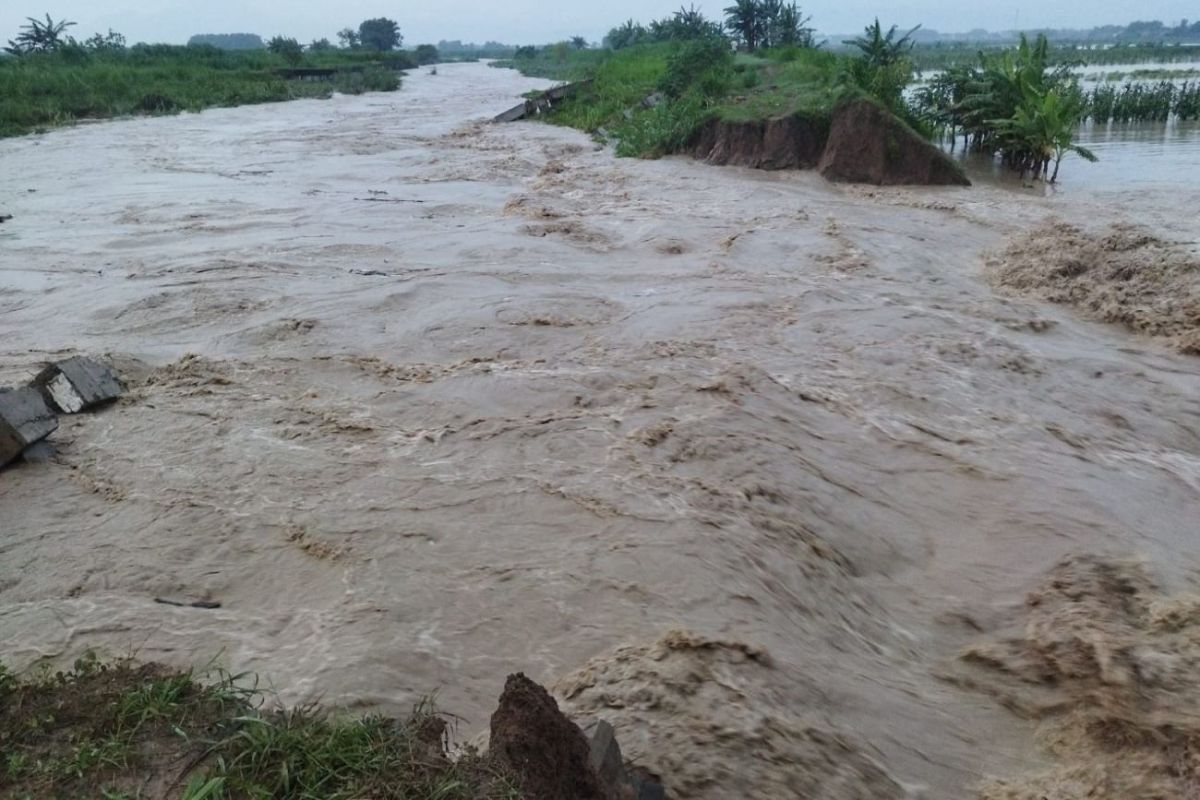 Pemkab Demak dan BBWS tangani tanggul jebol yang akibatkan banjir