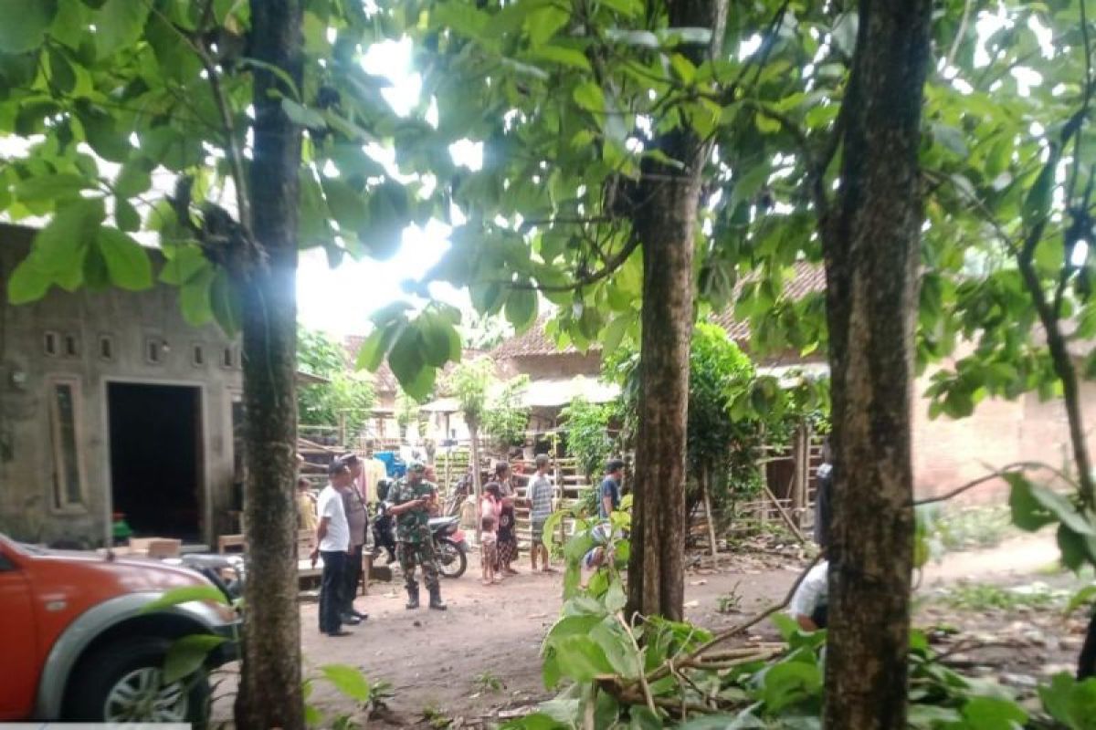 BPBD: Dapur rumah di Blitar rusak tertimpa pohon jati