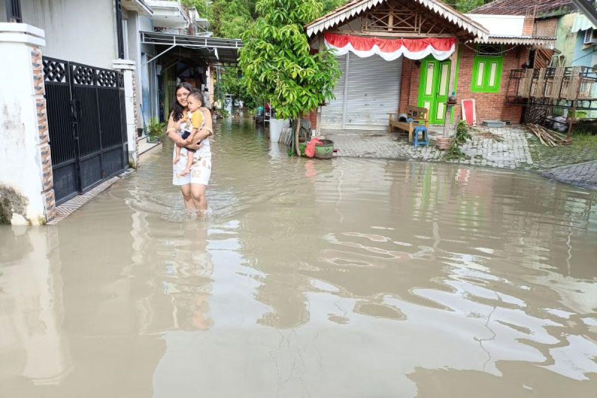 Enam desa di Bojonegoro terdampak banjir luapan Sungai Bengawan Solo