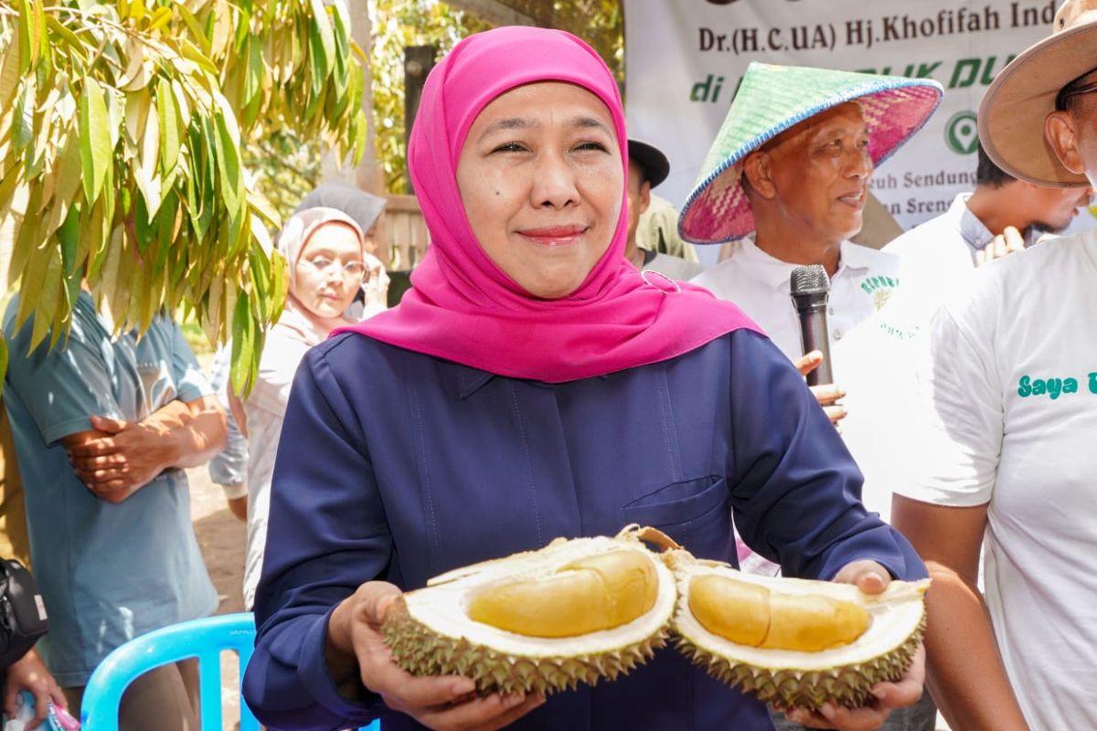 Khofifah siapkan strategi jadikan durian unggulan ekspor Jatim