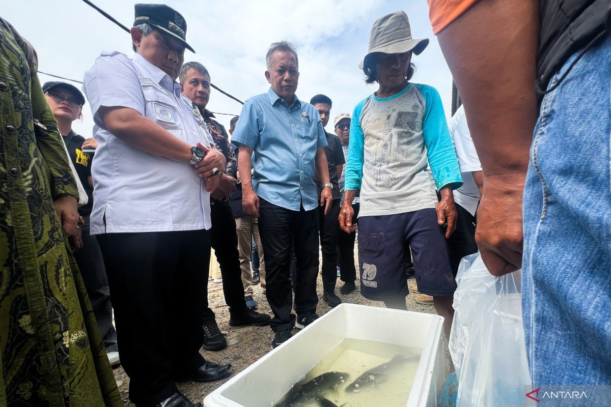 Koperasi Mambo Mina Mekar siap wujudkan ketahanan pangan