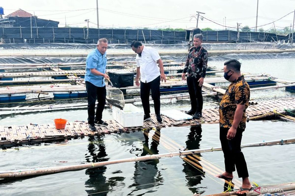 Wamenkop dukung peningkatan produktivitas koperasi perikanan di Bekasi