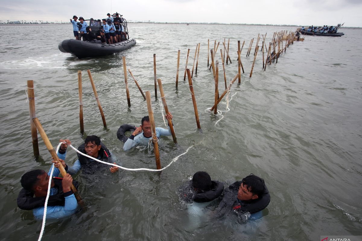 Tak punya dokumen lingkungan, KLH: Pagar laut di Tangerang ilegal