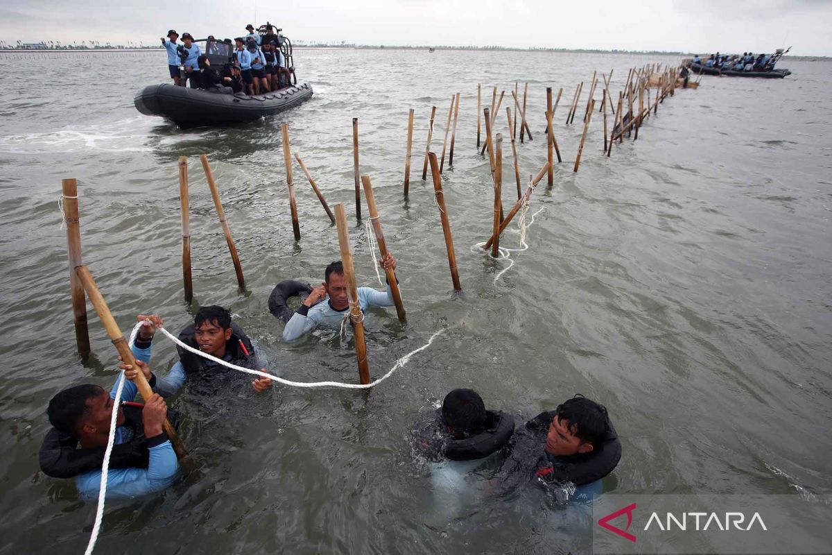 TNI AL kembali bongkar pagar laut di perairan Banten