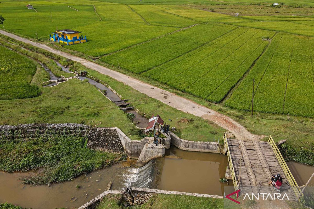 Sulawesi Tenggara usulkan cetak sawah baru hingga 20 ribu hektare tahun 2025