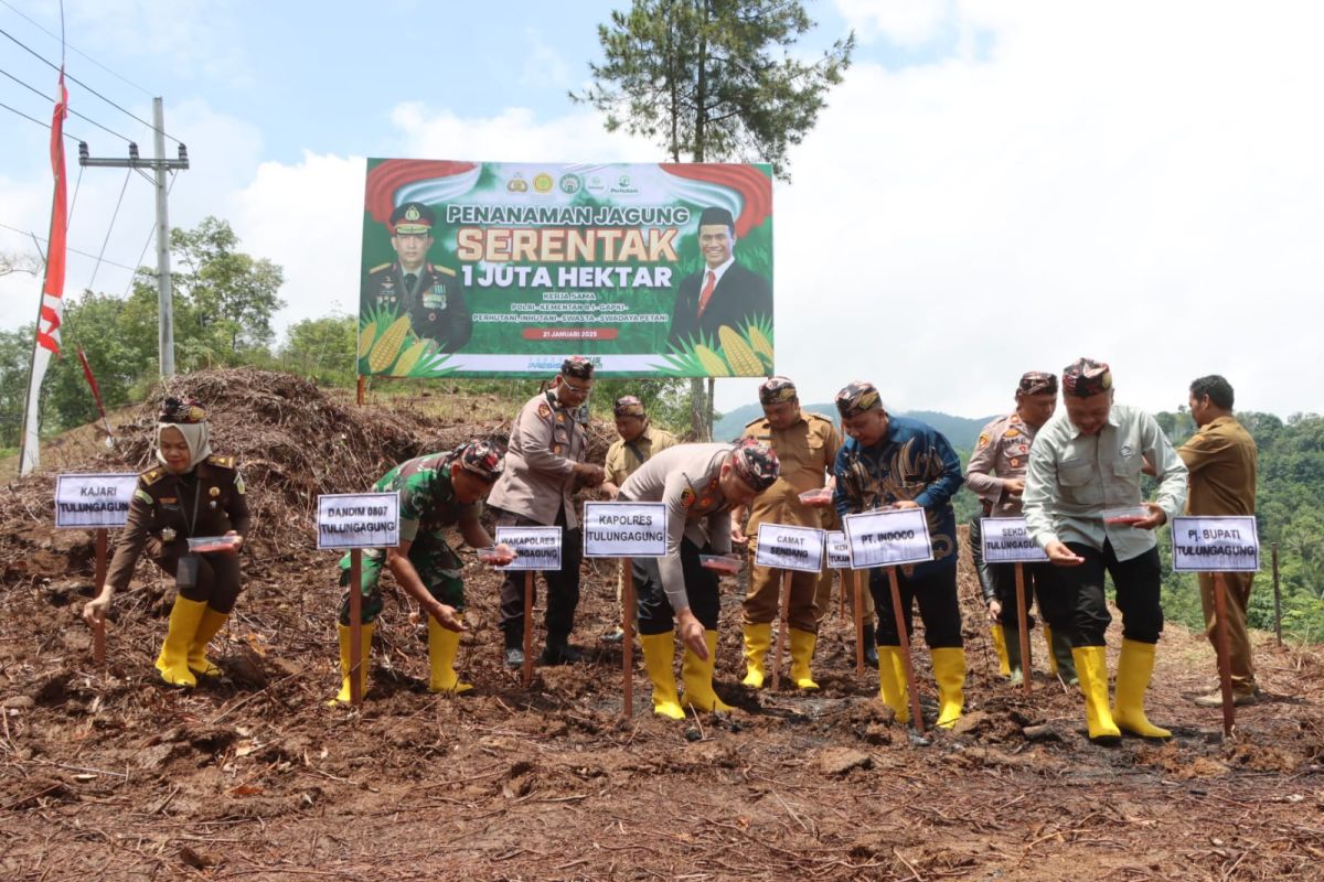 Polres Tulungagung dukung swasembada jagung