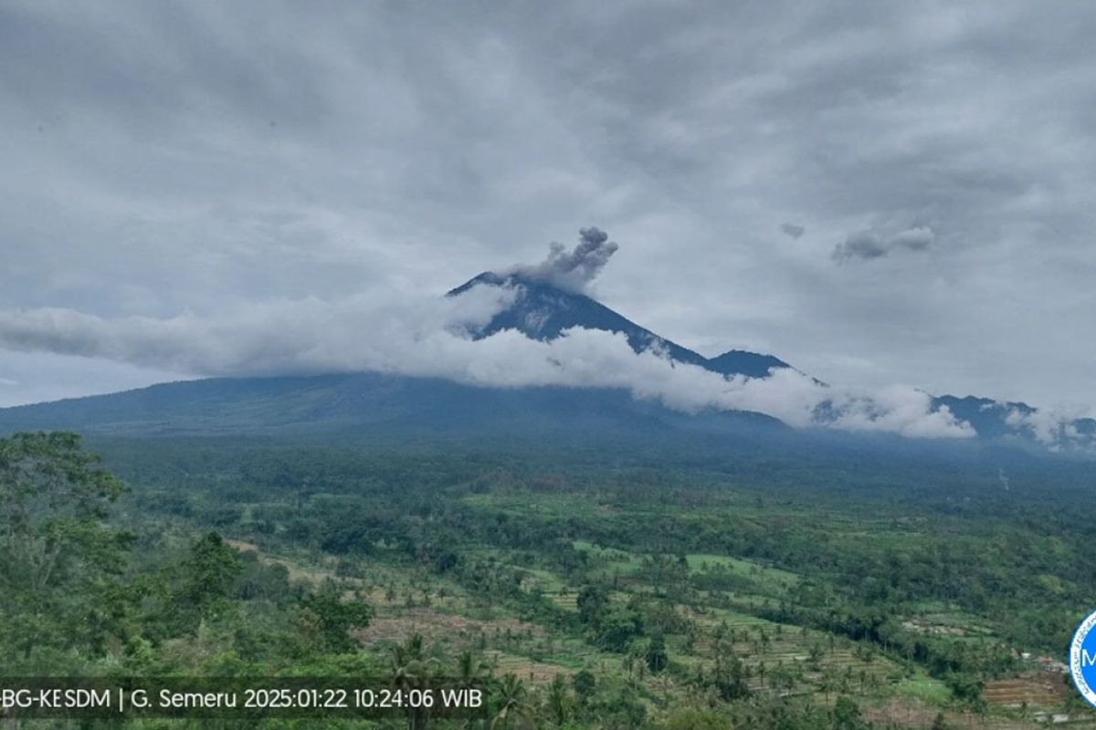 Semeru kembali alami erupsi dengan letusan 800 meterdi atas puncak