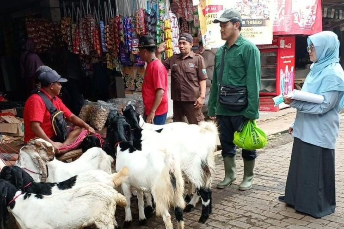 Pemkab Probolinggo awasi lalu lintas hewan ternak antisipasi PMK