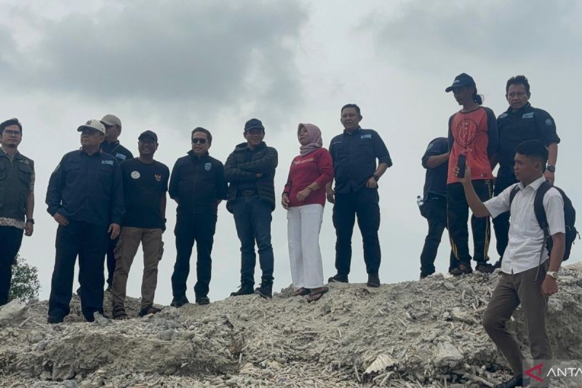 KLH segel pembangunan yang rusak mangrove di gugusan Pulau Pari