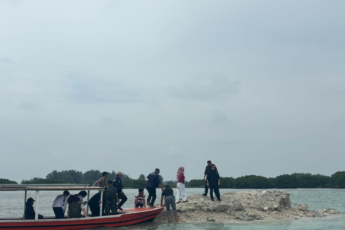 KLH dalami dampak lingkungan perusakan mangrove di Pulau Pari