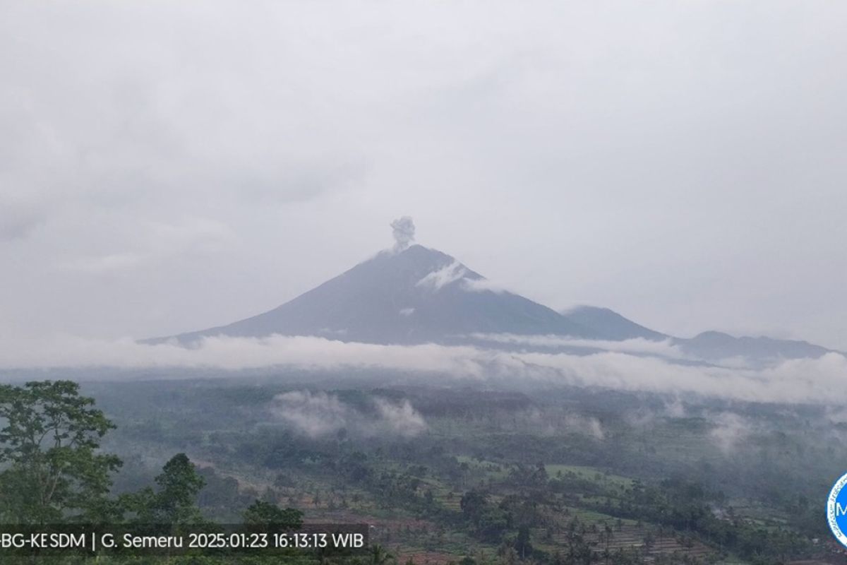 Gunung Semeru erupsi dengan tinggi letusan 800 meter di atas puncak