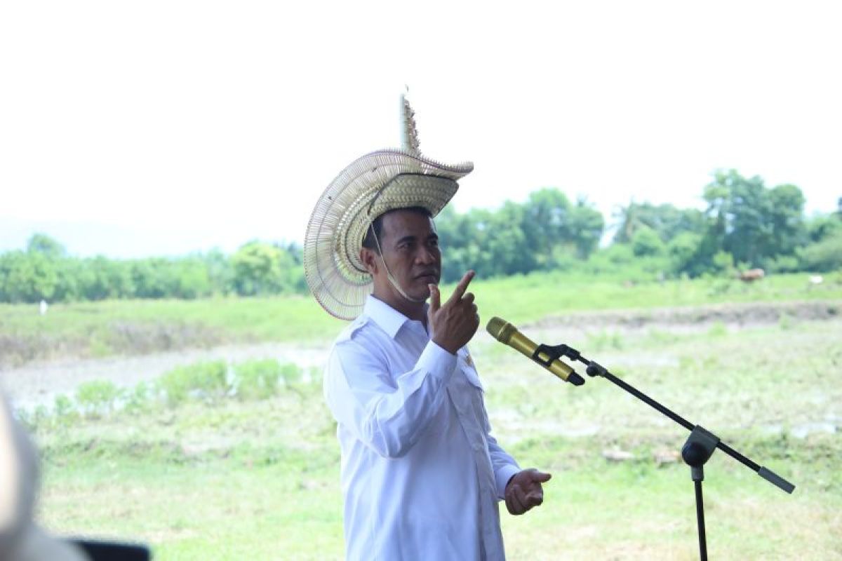 Mentan mengingatkan pelaku industri singkong jangan zalimi petani 