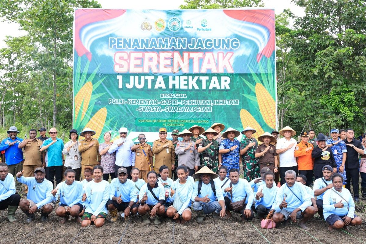 Polda lakukan penanaman jagung seluas 22,5 hektar di Papua