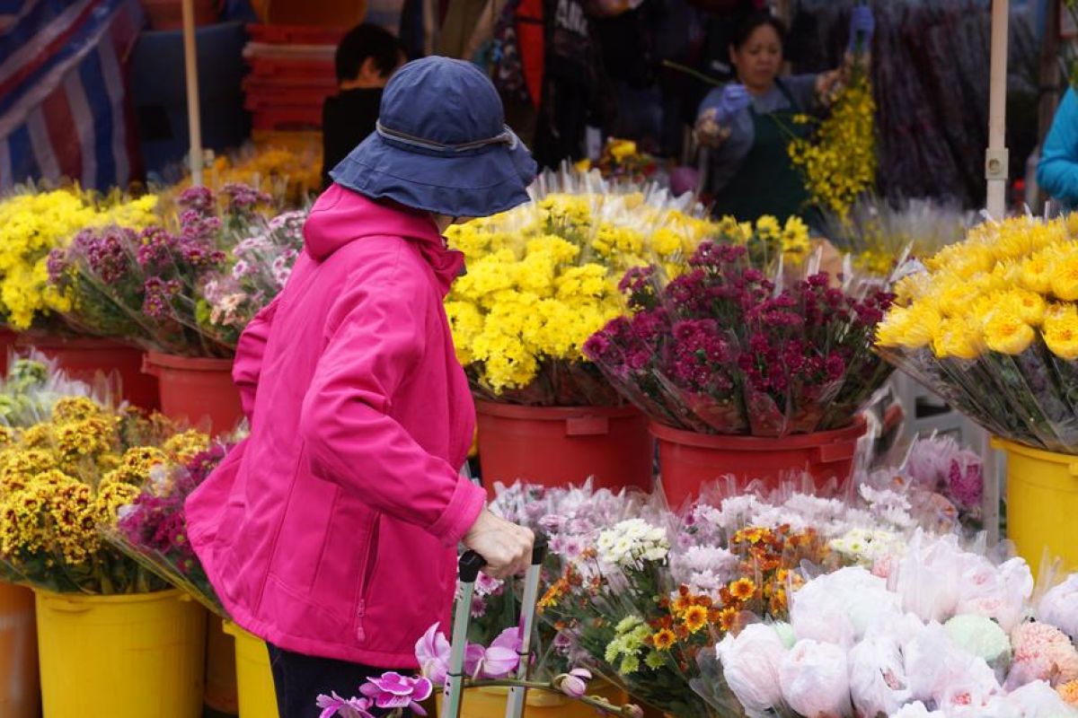 Hong Kong gelar pertunjukan lampion dan pekan raya jelang Imlek