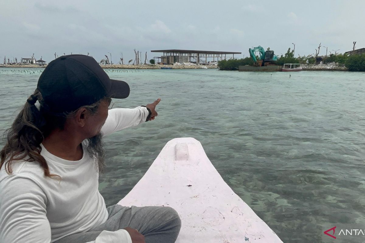 Asa masyarakat Pulau Pari menjaga mangrove untuk masa depan