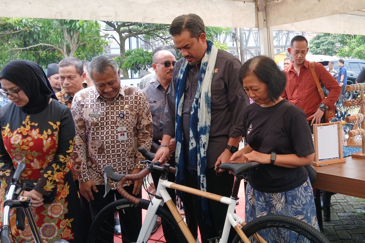 Menteri UMKM:  Rumah kemasan dorong pemkab untuk maju