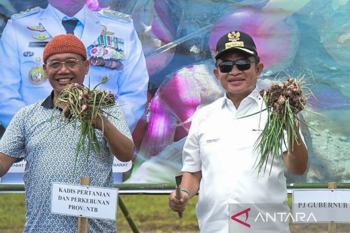 Pj Gubernur NTB ajak petani bawang tingkatkan inovasi pertanian