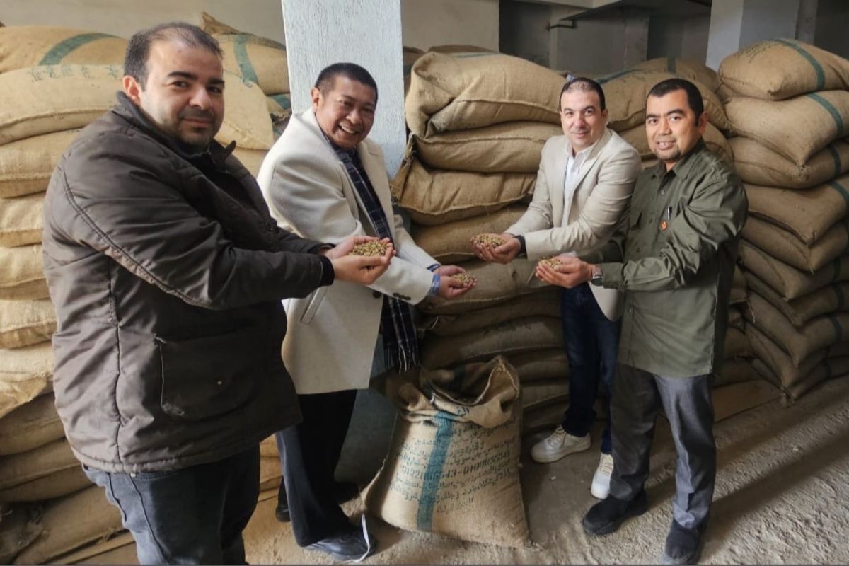 Atase Kairo: 39,6 ton biji kopi robusta diekspor ke Mesir