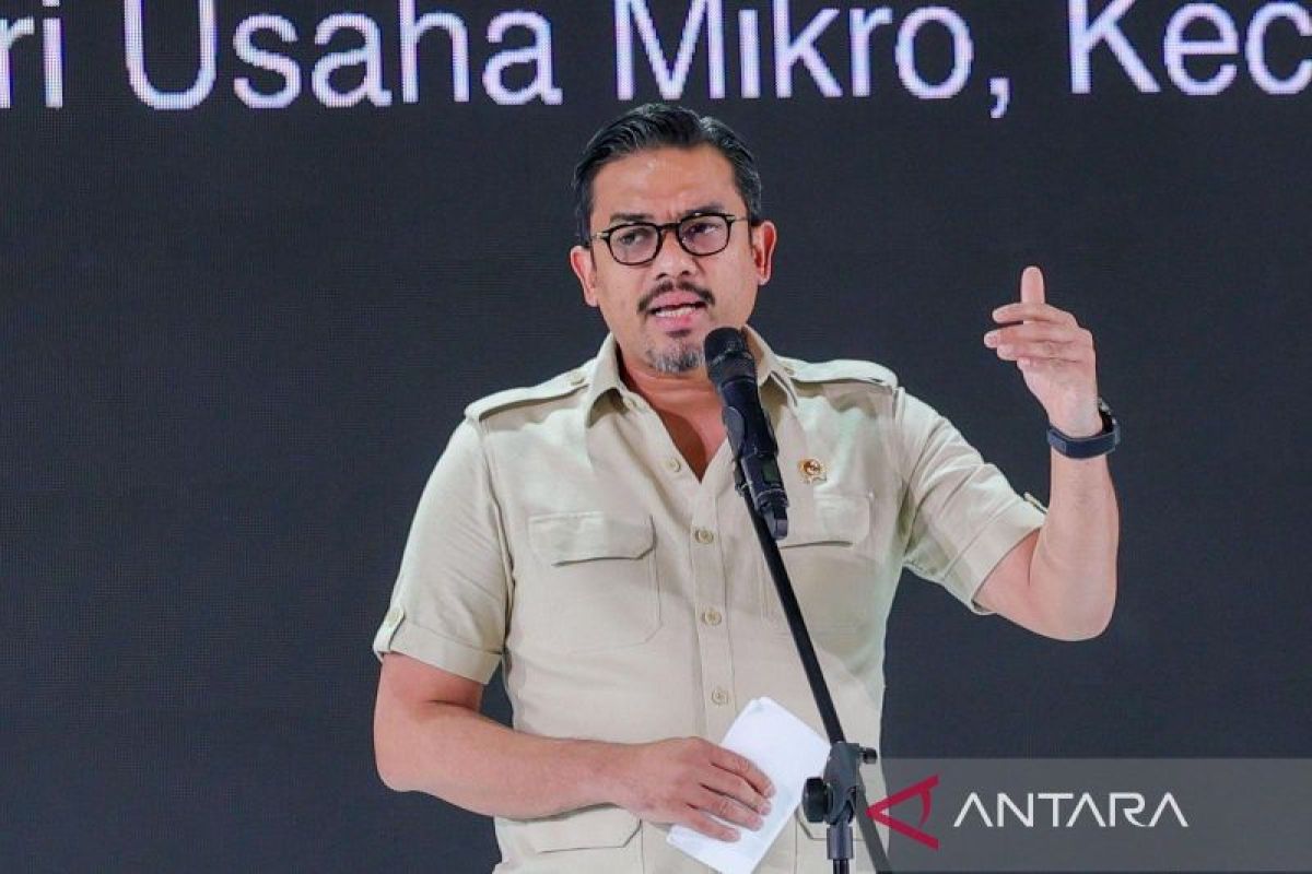 Menteri UMKM: Saatnya gerakan organisasi berorientasi ke kewirausahaan